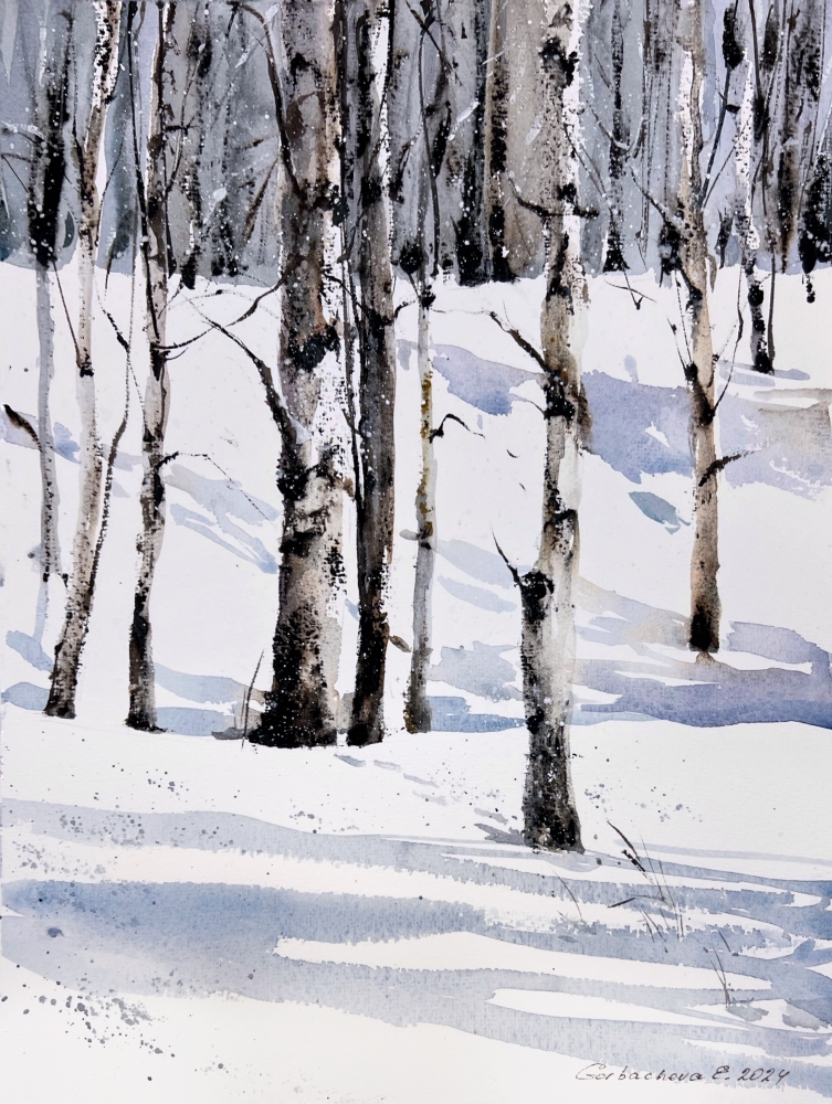 Winter Birch Grove