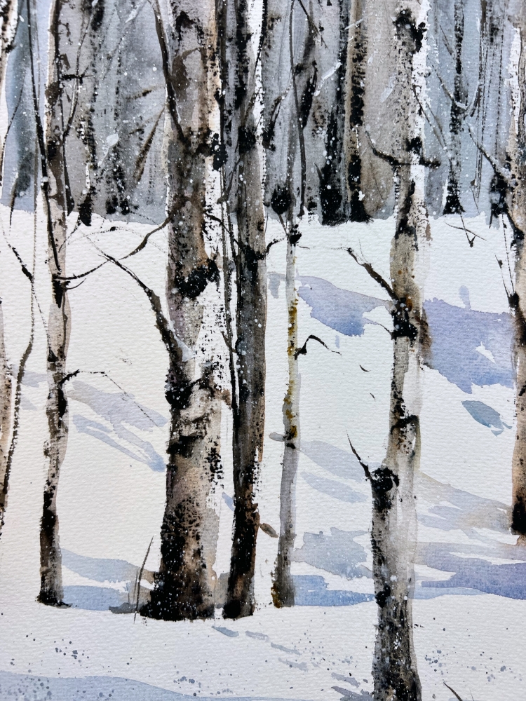 Winter Birch Grove