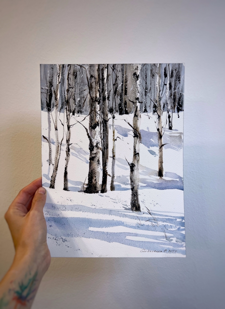 Winter Birch Grove