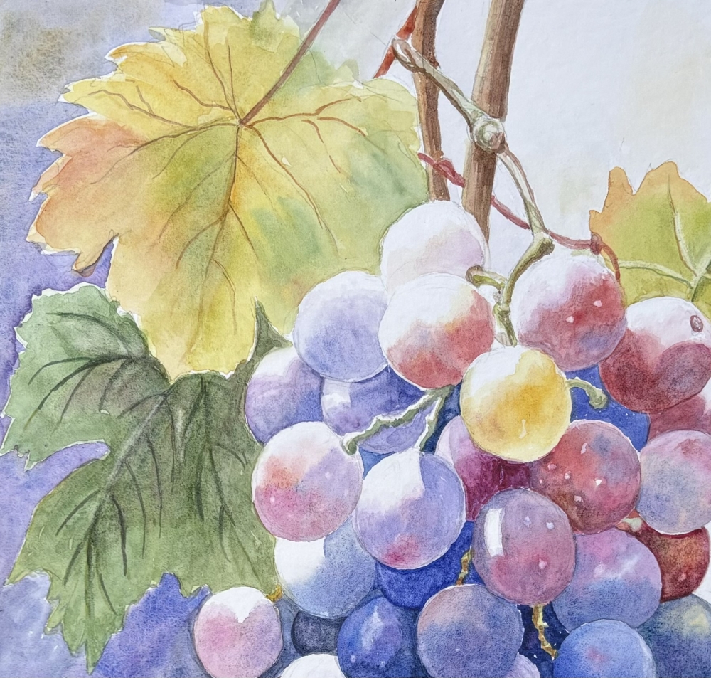 SUNLIT GRAPES