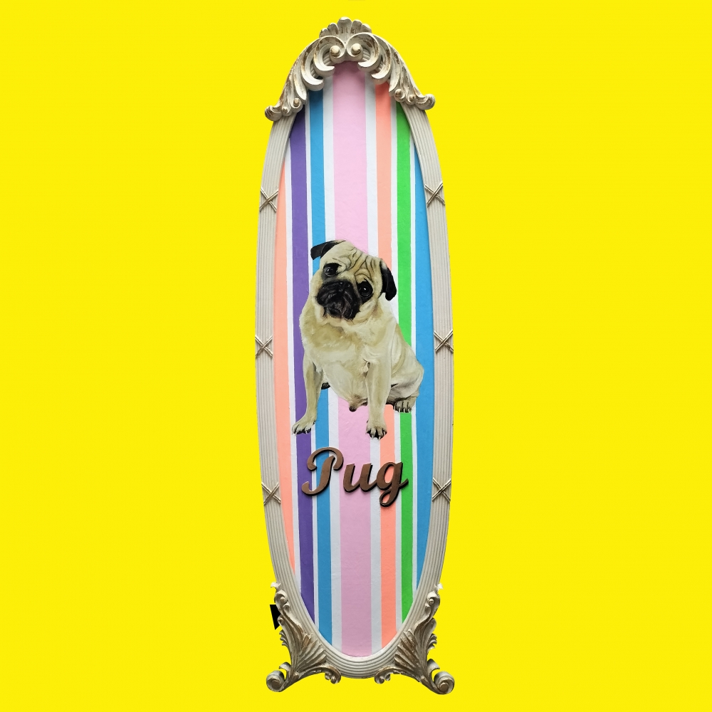 Pug