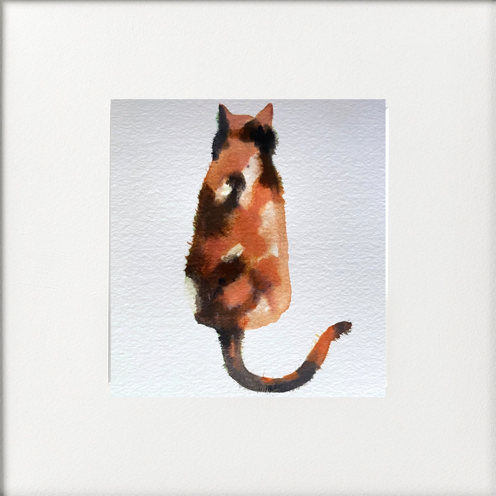 Seated Tortoiseshell Cat framed