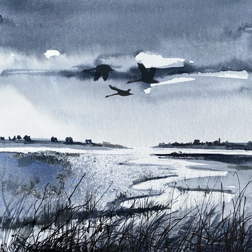 Monochrome - Brooding Marsh skies, Swans flying over framed