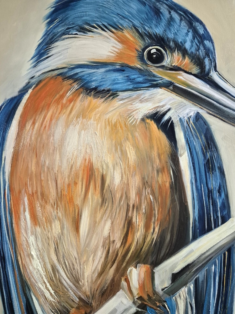 KINGFISHER