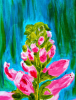 Foxglove