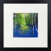 Bluebells, Silver Birch Trees framed