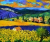 Sunflowers in Provence