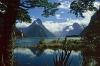 Fiordland