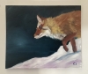 Fox in the Snow