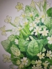 Pale Yellow Primroses 