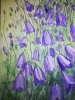 Harebells in watercolour 