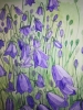 Harebells in watercolour 