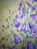 Harebells in watercolour 