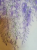 Purple wisteria watercolour painting 