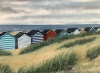 The old beach huts 