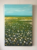 Daisy meadow