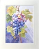 SUNLIT GRAPES