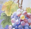 SUNLIT GRAPES