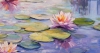 Water Lily Pond