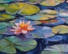 Water Lily Pond