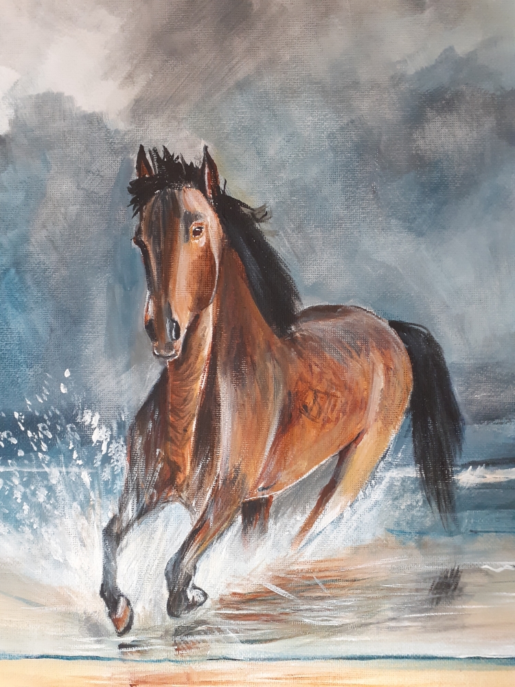 Wild horse in the surf