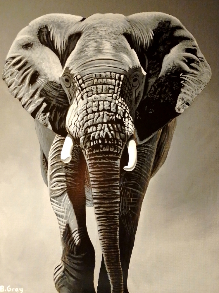 Elephant 2