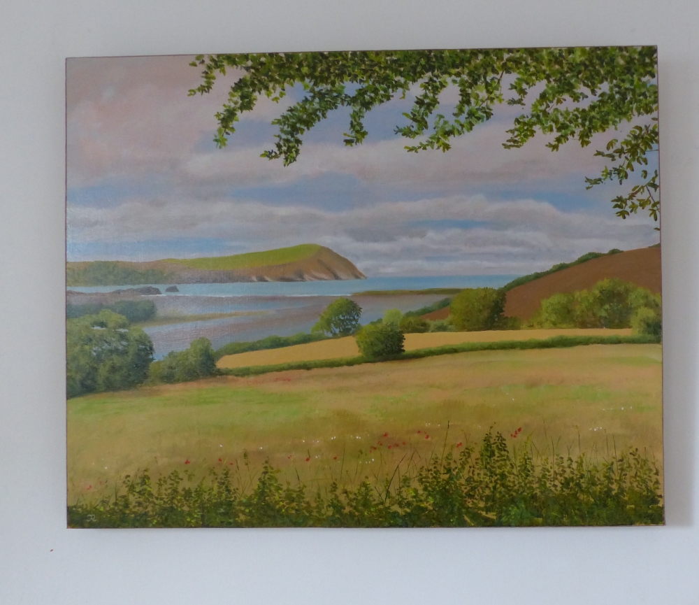  An evening walk from Newport Pembrokeshire, looking towards Dinas Head.