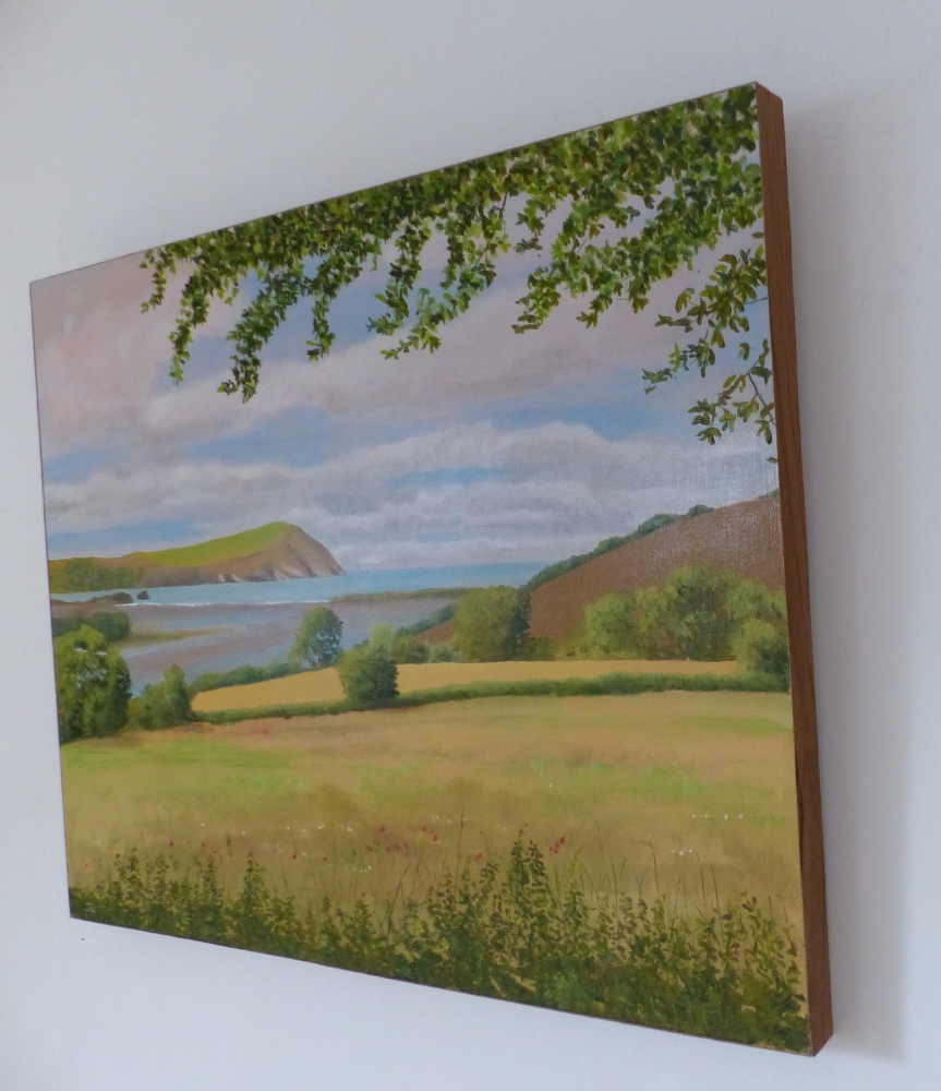  An evening walk from Newport Pembrokeshire, looking towards Dinas Head.