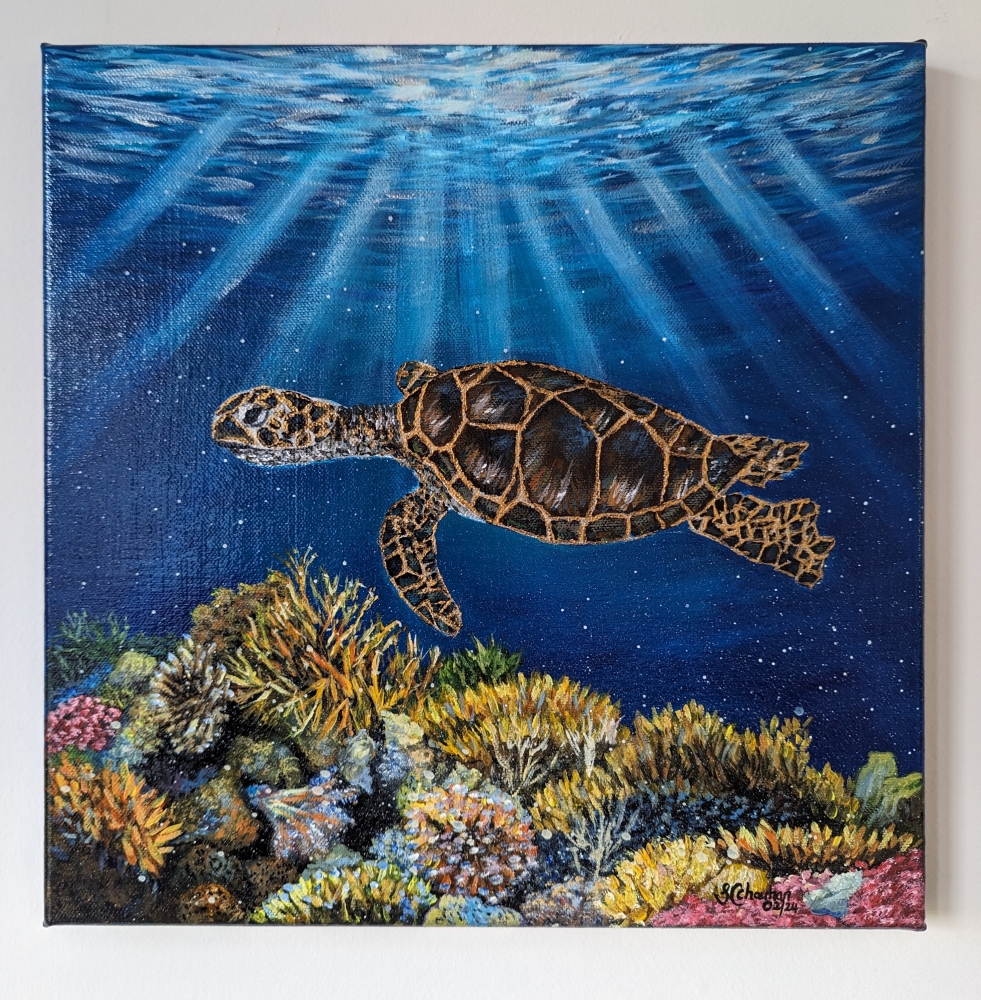 Underwater Sea Turtle 