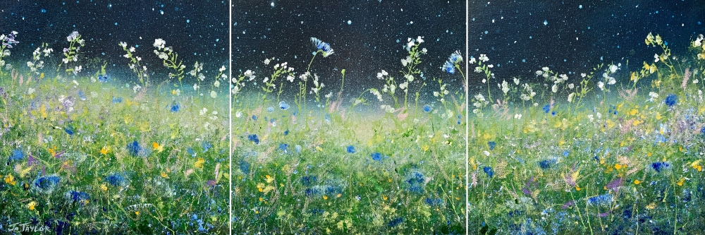 Snowdrops & Stars