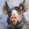 Pig painting