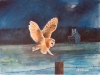 Barn owl landing