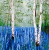 Birch Wood Blue