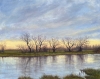 Ely Water Meadows