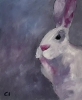 The White Rabbit