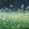 Snowdrops & Stars