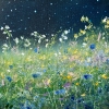 Snowdrops & Stars