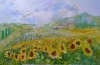 Tuscan Sunflowers 