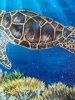 Underwater Sea Turtle 