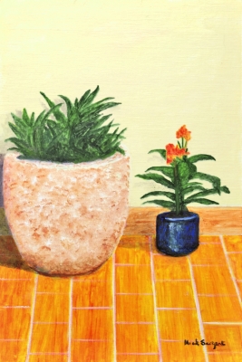 Patio, Agave and Canna