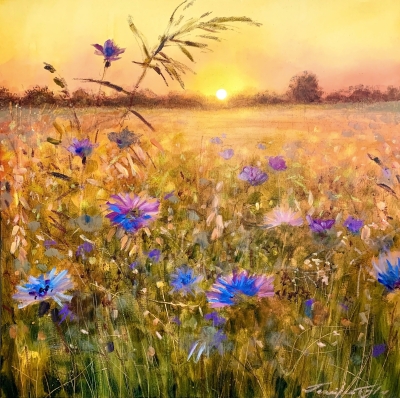 Sunset Dream