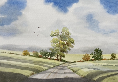 COUNTRY LANE 