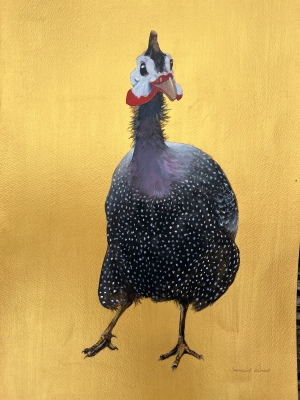 Golden Guinea -SOLD