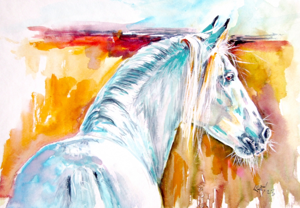 Andalusian horse 3
