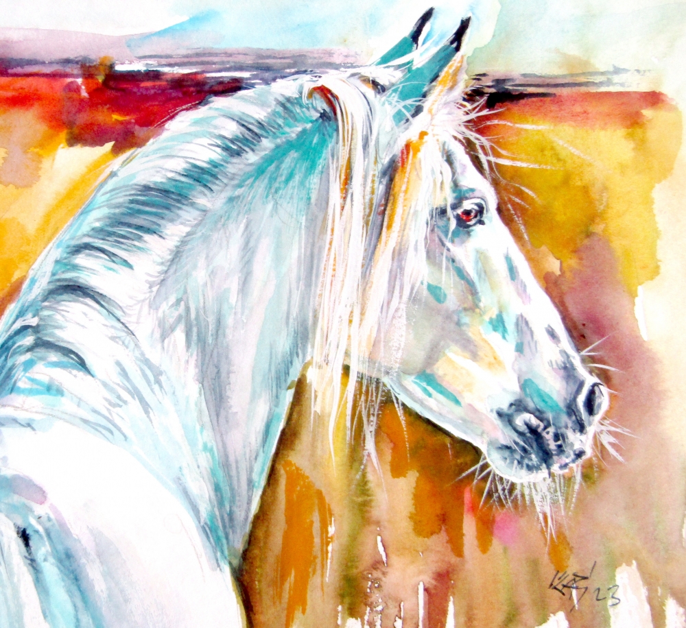 Andalusian horse 3