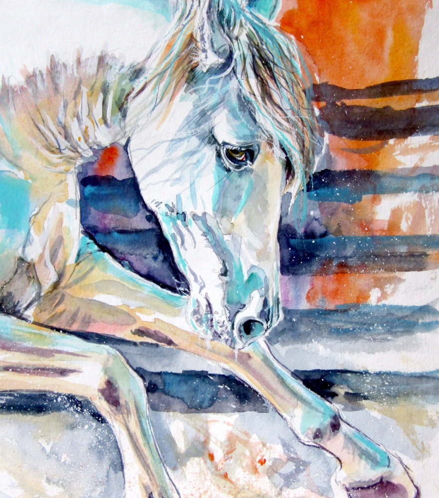Andalusian horse 2