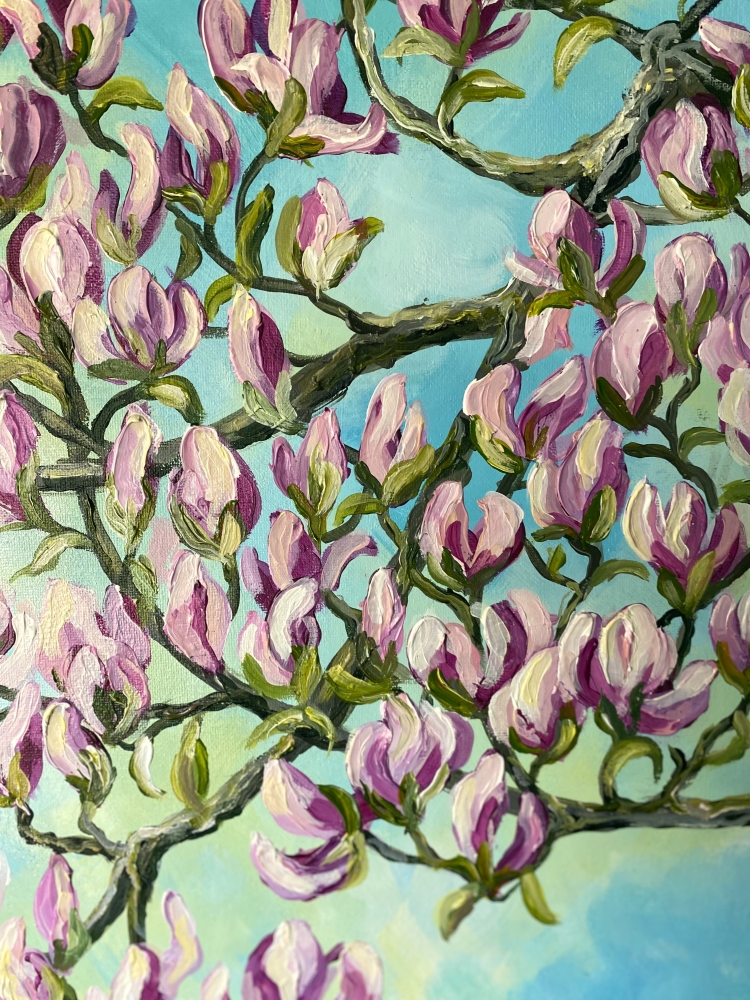 Magnolia in Spring