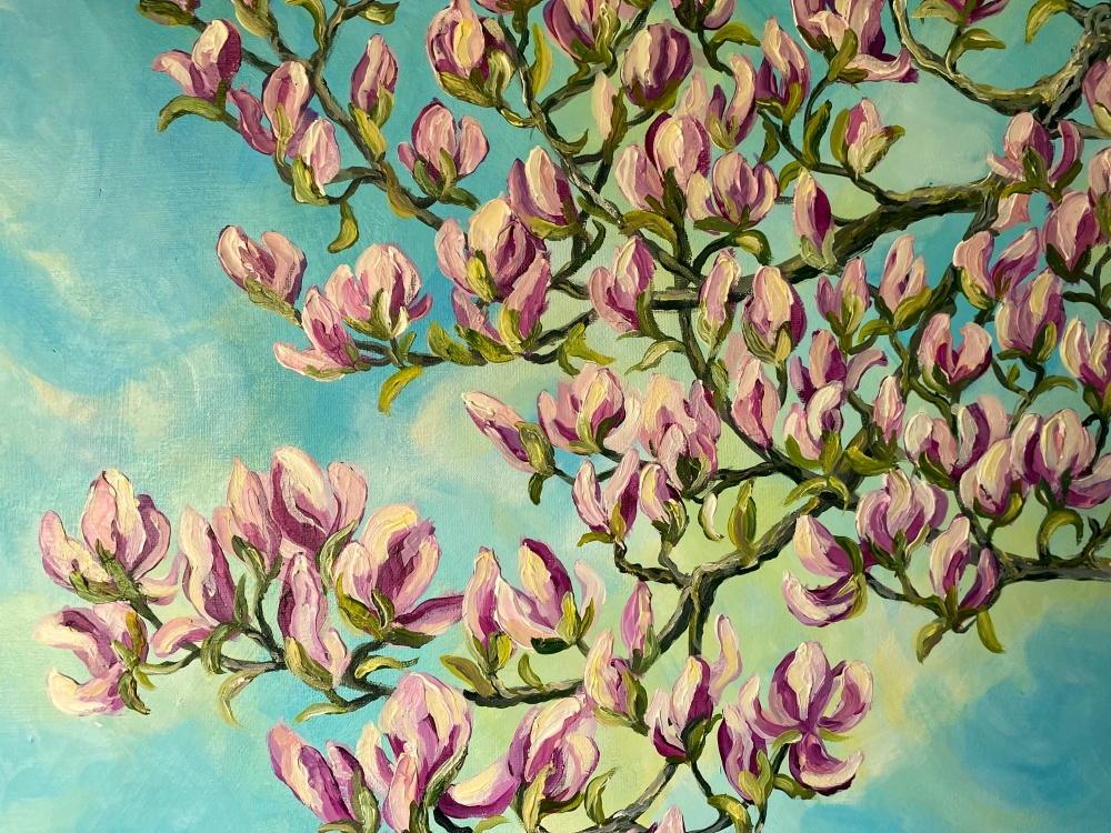 Magnolia in Spring