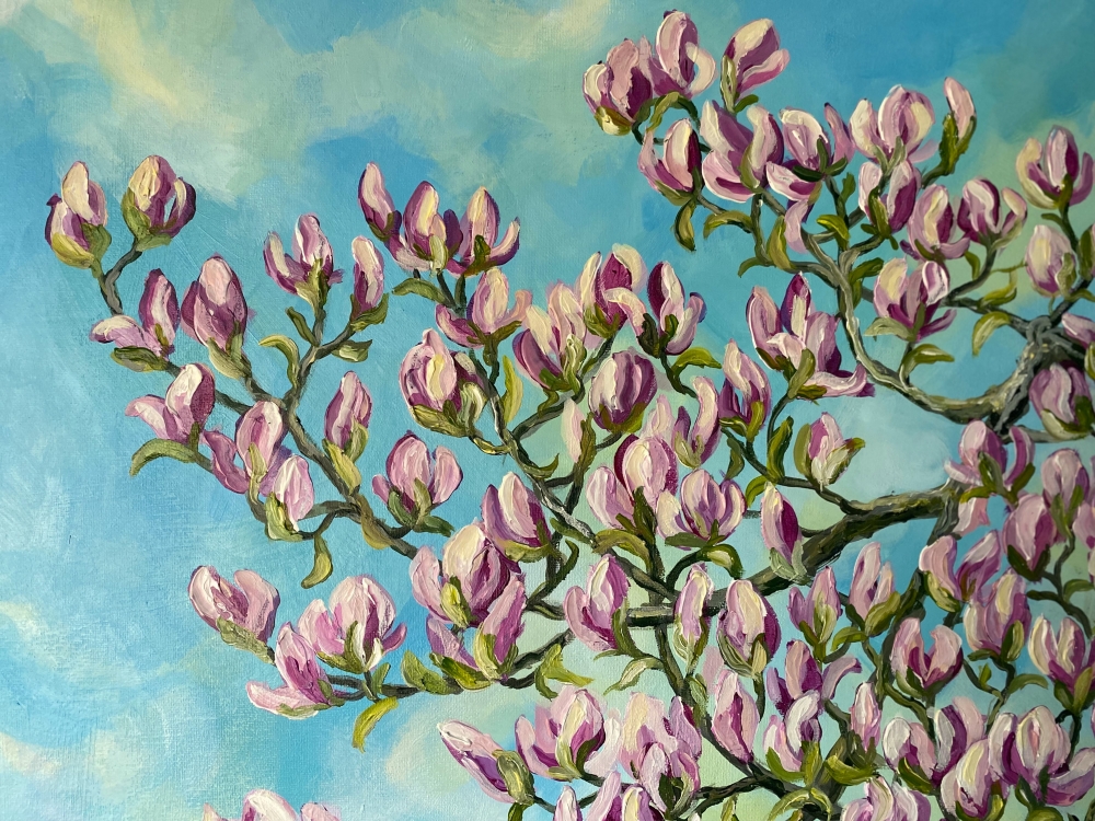 Magnolia in Spring