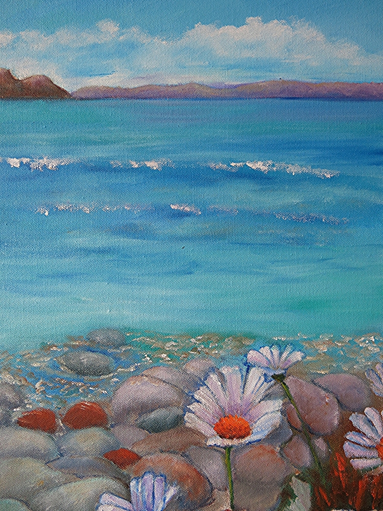 Sea, Rocks and Daisies